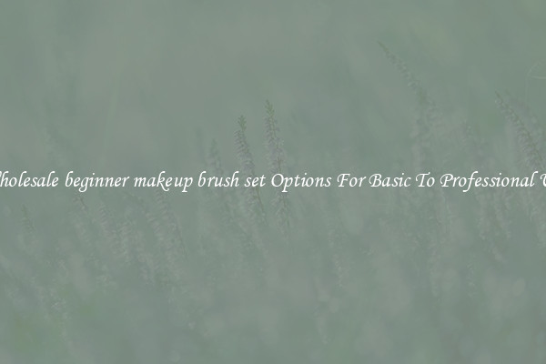 Wholesale beginner makeup brush set Options For Basic To Professional Use
