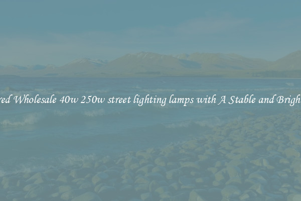 Featured Wholesale 40w 250w street lighting lamps with A Stable and Bright Light