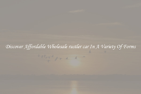 Discover Affordable Wholesale rustler car In A Variety Of Forms