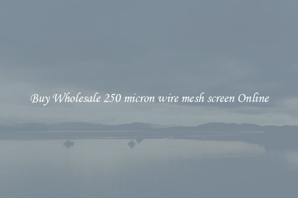 Buy Wholesale 250 micron wire mesh screen Online