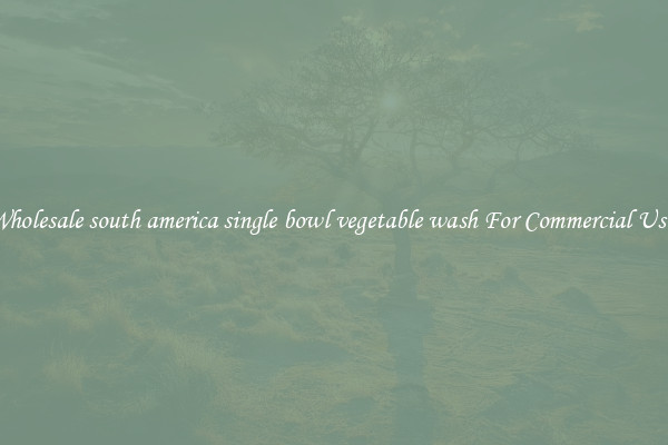 Buy Wholesale south america single bowl vegetable wash For Commercial Use Now