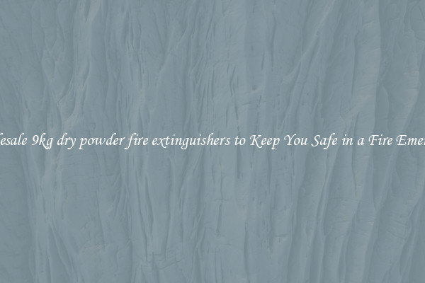 Wholesale 9kg dry powder fire extinguishers to Keep You Safe in a Fire Emergency