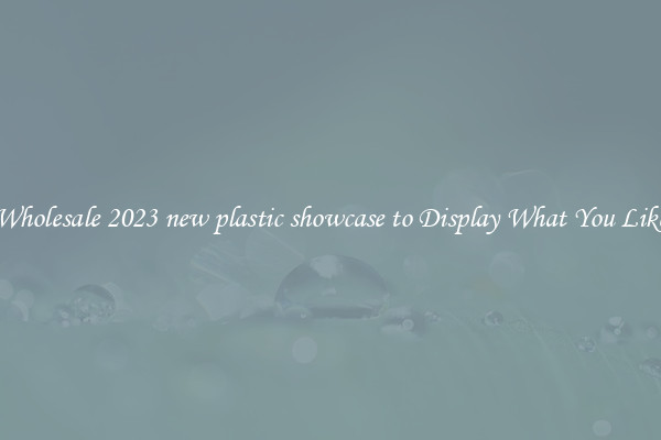 Wholesale 2023 new plastic showcase to Display What You Like