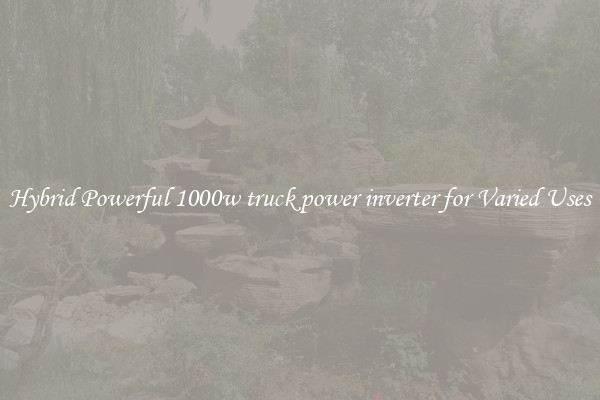 Hybrid Powerful 1000w truck power inverter for Varied Uses