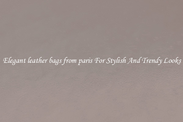Elegant leather bags from paris For Stylish And Trendy Looks