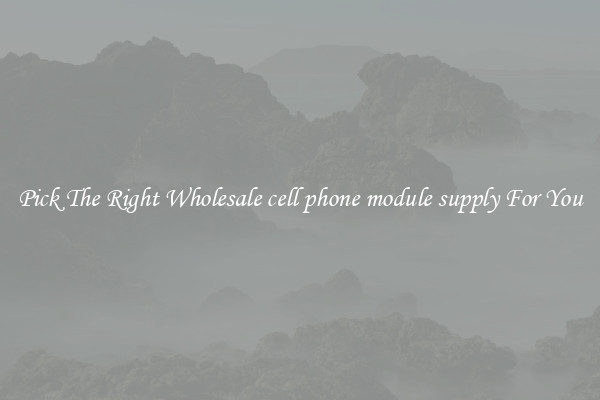 Pick The Right Wholesale cell phone module supply For You