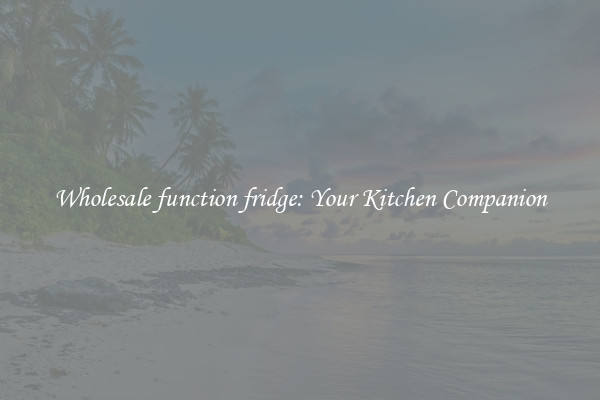 Wholesale function fridge: Your Kitchen Companion