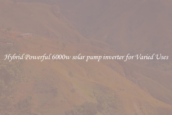 Hybrid Powerful 6000w solar pump inverter for Varied Uses