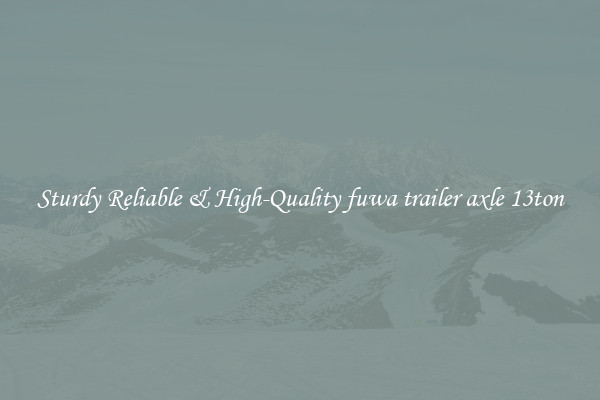 Sturdy Reliable & High-Quality fuwa trailer axle 13ton
