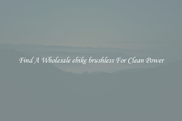 Find A Wholesale ebike brushless For Clean Power