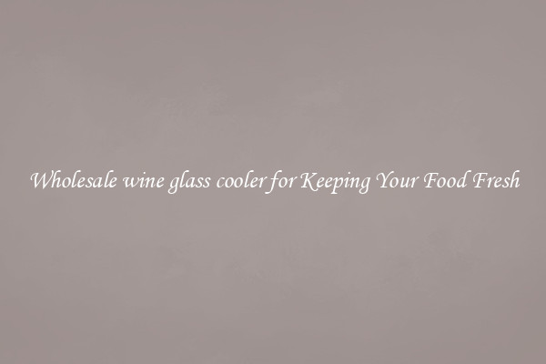 Wholesale wine glass cooler for Keeping Your Food Fresh