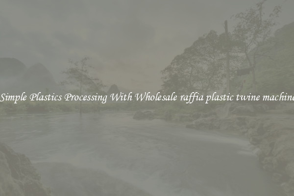 Simple Plastics Processing With Wholesale raffia plastic twine machine