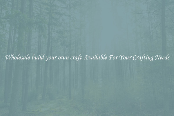 Wholesale build your own craft Available For Your Crafting Needs