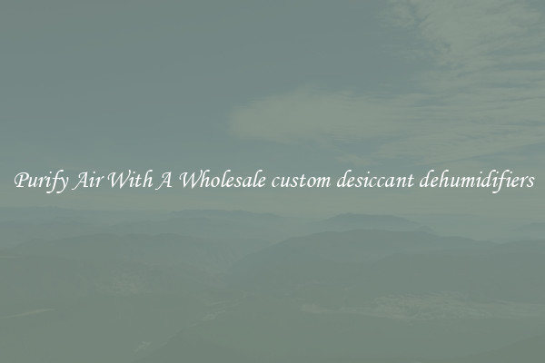 Purify Air With A Wholesale custom desiccant dehumidifiers