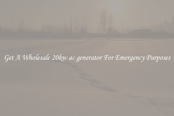 Get A Wholesale 20kw ac generator For Emergency Purposes