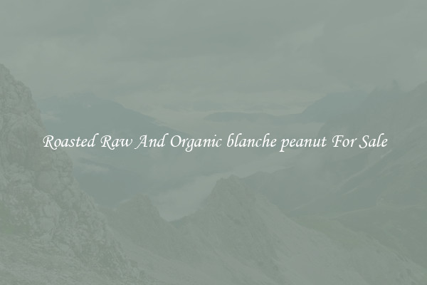 Roasted Raw And Organic blanche peanut For Sale
