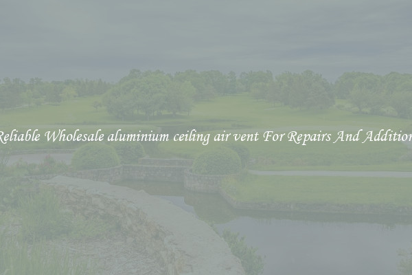 Reliable Wholesale aluminium ceiling air vent For Repairs And Additions