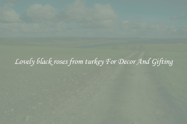 Lovely black roses from turkey For Decor And Gifting
