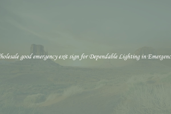 Wholesale good emergency exit sign for Dependable Lighting in Emergencies