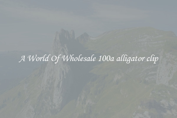 A World Of Wholesale 100a alligator clip