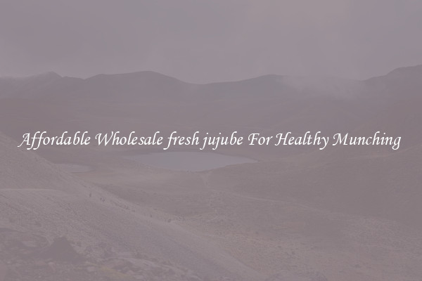 Affordable Wholesale fresh jujube For Healthy Munching 