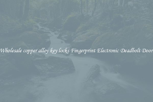 Wholesale copper alloy key locks Fingerprint Electronic Deadbolt Door 