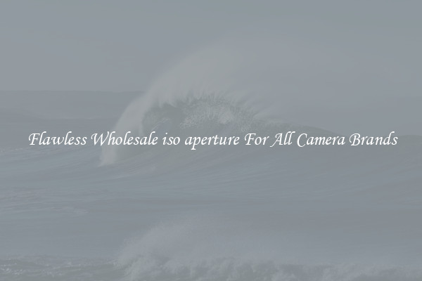 Flawless Wholesale iso aperture For All Camera Brands