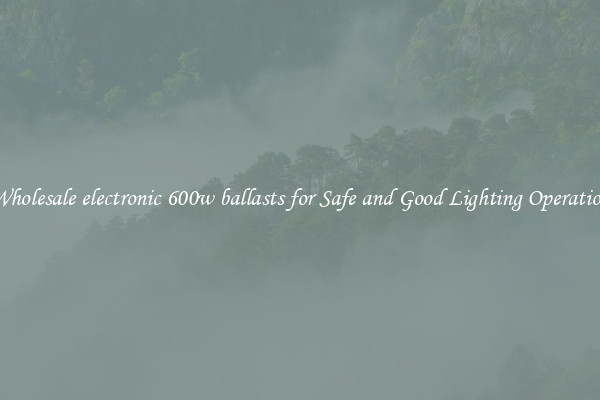 Wholesale electronic 600w ballasts for Safe and Good Lighting Operation